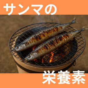 サンマの