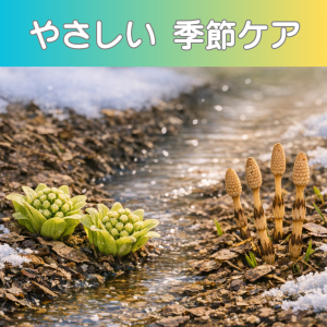 緑　ナチュラル　制作事例　インスタグラム投稿　正方形