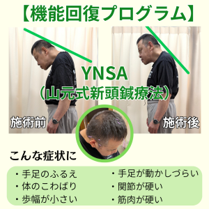 YNSA