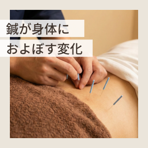  注意報のコピーのコピーのコピーのコピー